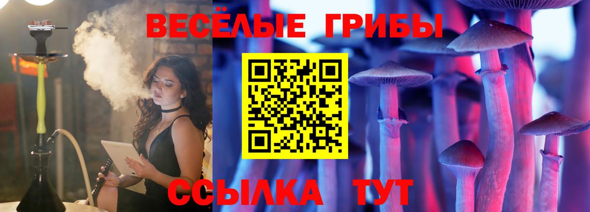 Галлюциногенные грибы Magic Shrooms  Псилоцибиновые грибы прущие грибы  где найти наркотики  Вход с VPN  Биробиджан 
